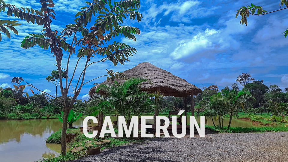 CAMERÚN | Destinos Premium Incentives Travel